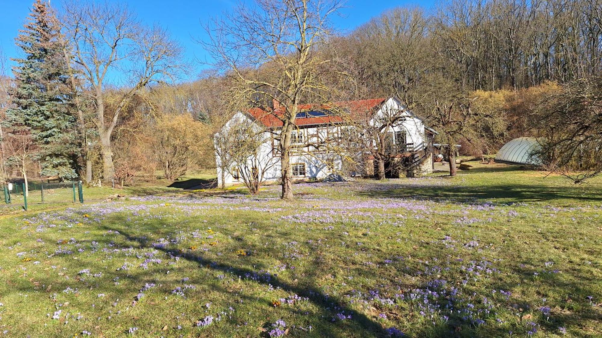 Ferienwohnung Obermuehle Ballstadt Номер фото